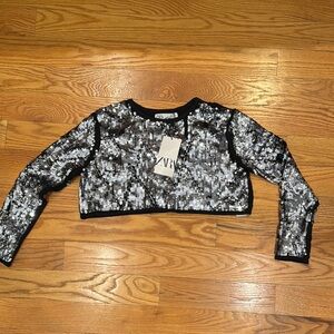 Zara Silver Sequin Crop Top